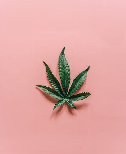 Marijuana store in Klaipeda