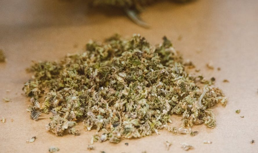 Weed delivery in Mannheim