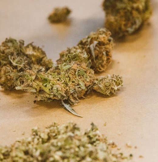 420 store in Valencia