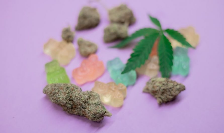Buy THC vapes in Tenerife