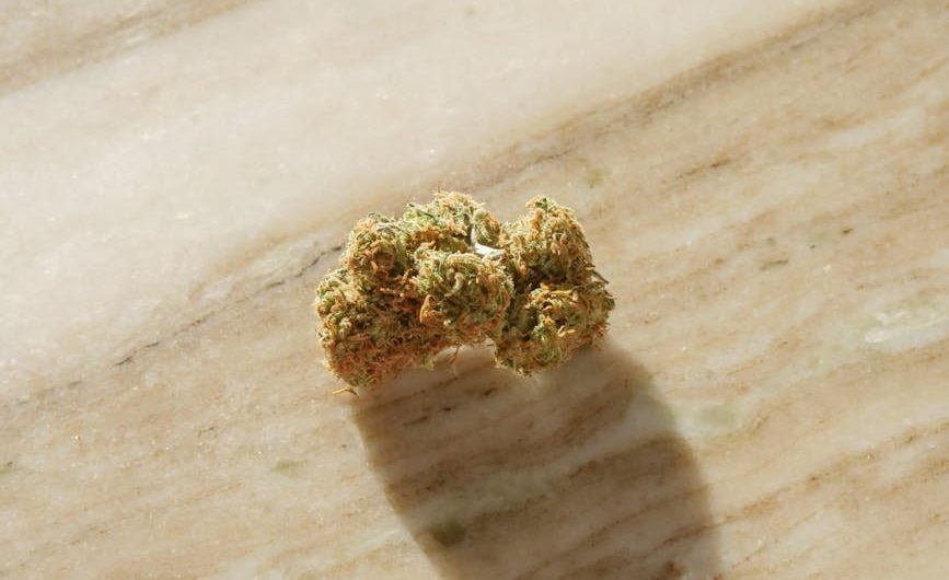 Buy THC cannabis in Palma de Mallorca