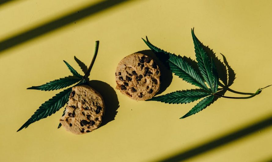 Buy hashish in Frankfurt