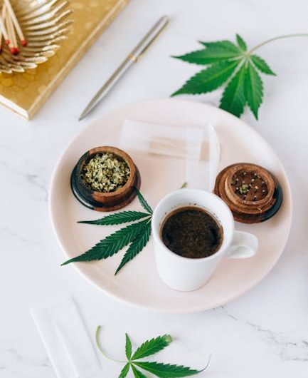 Buy THC cannabis in Varna
