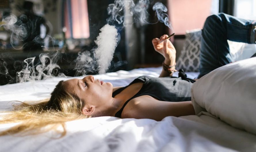 Buy hashish in Slovenia