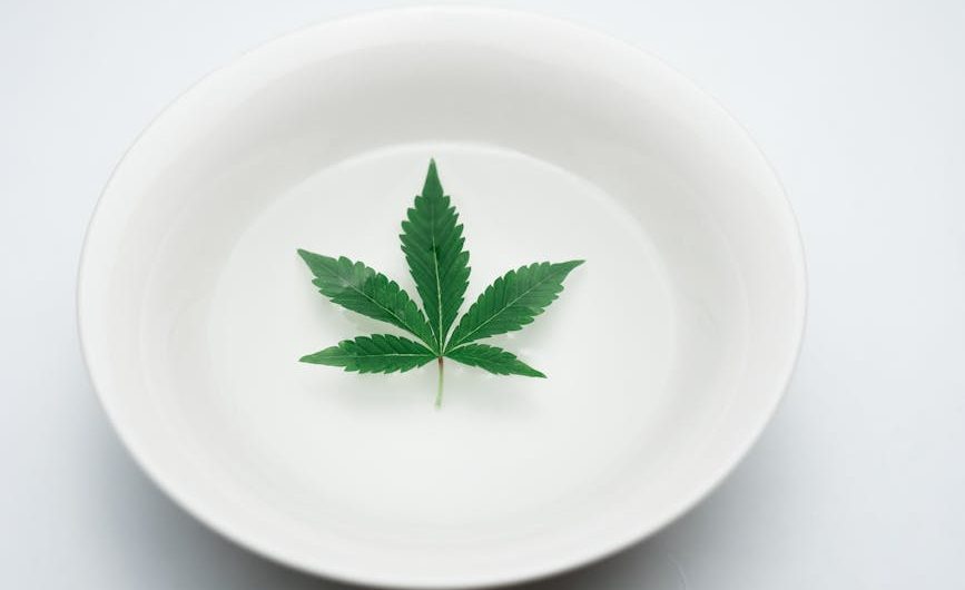 420 store in Salzburg