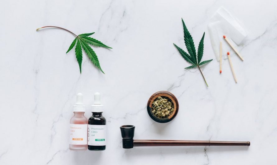 Buy THC cannabis in Bratislava