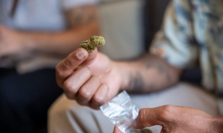 Weed delivery in Bielefeld