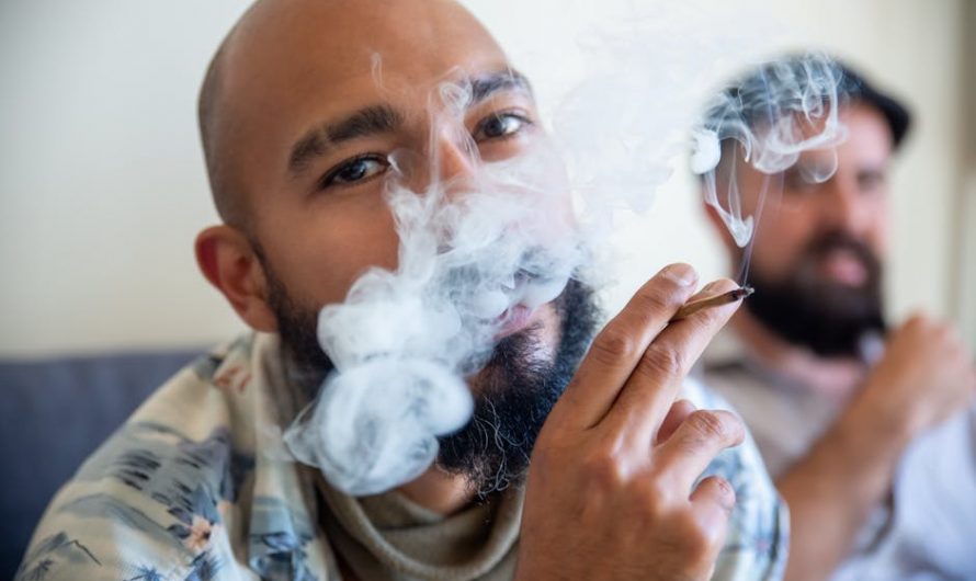 Cannabis shop in Szczecin