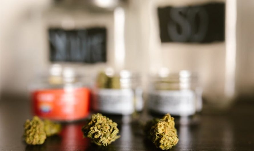 Weed store in Gdansk