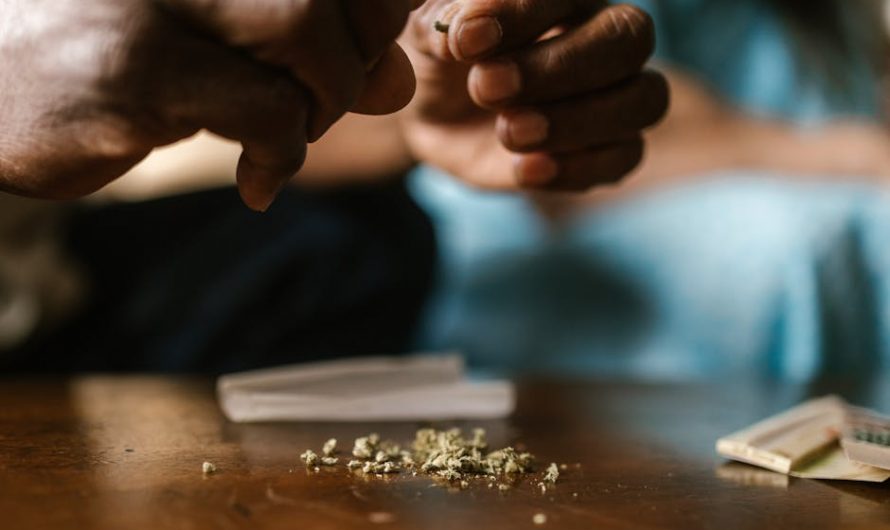 Weed store in Bern