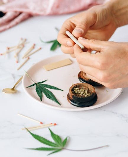 Cannabis store in Bydgoszcz