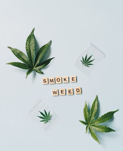 420 store in Brussels
