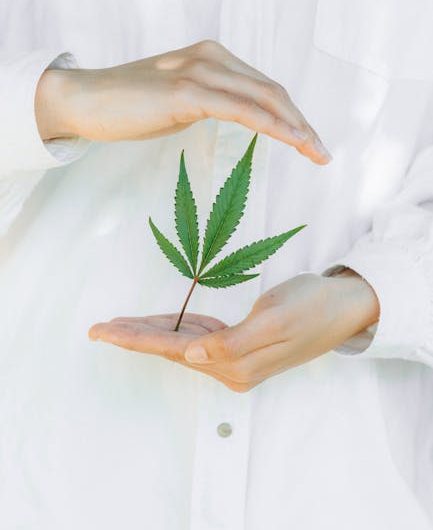 Weed shop in Nantes