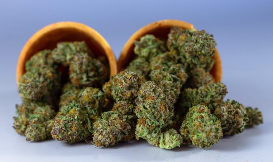 Buy THC vape in Dresden