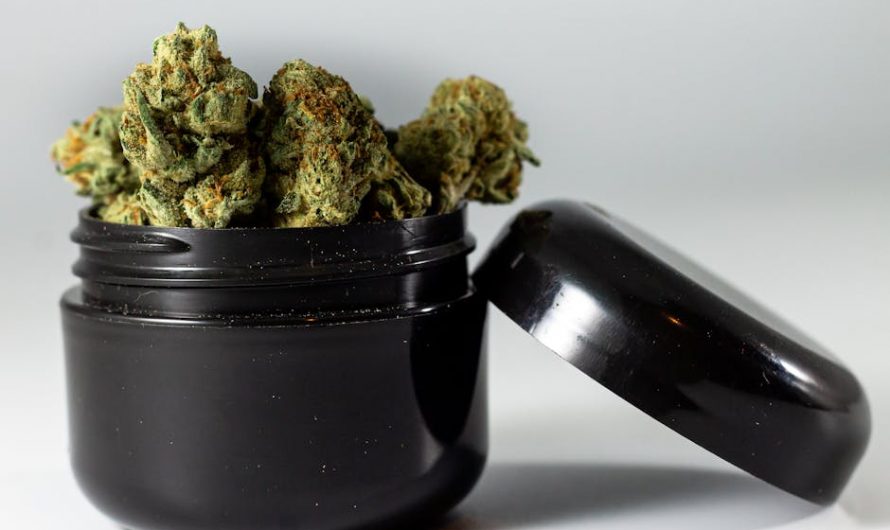 Marijuana delivery in San Marino