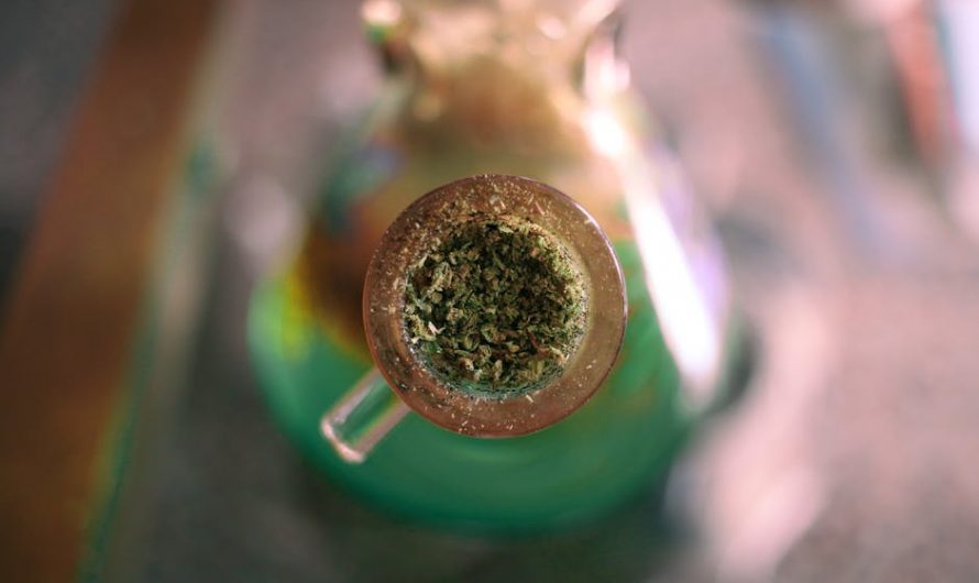 Weed store in Karlovy Vary