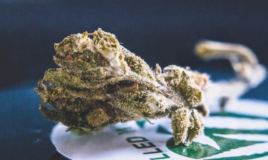 Buy weed in Nuremberg
