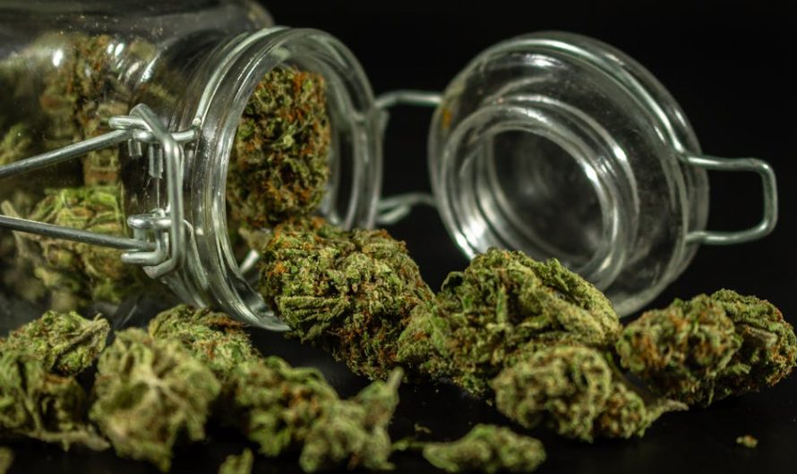 Marijuana delivery in Valencia