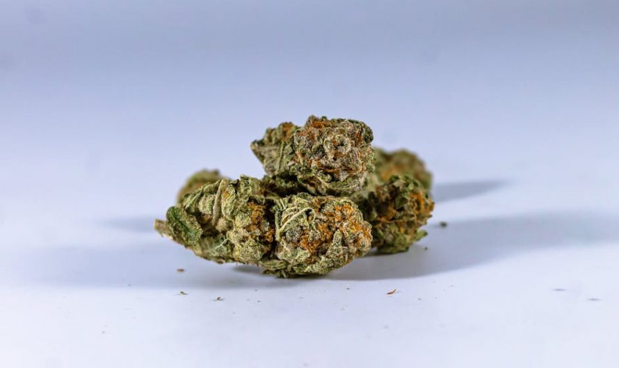 Marijuana store in Athens
