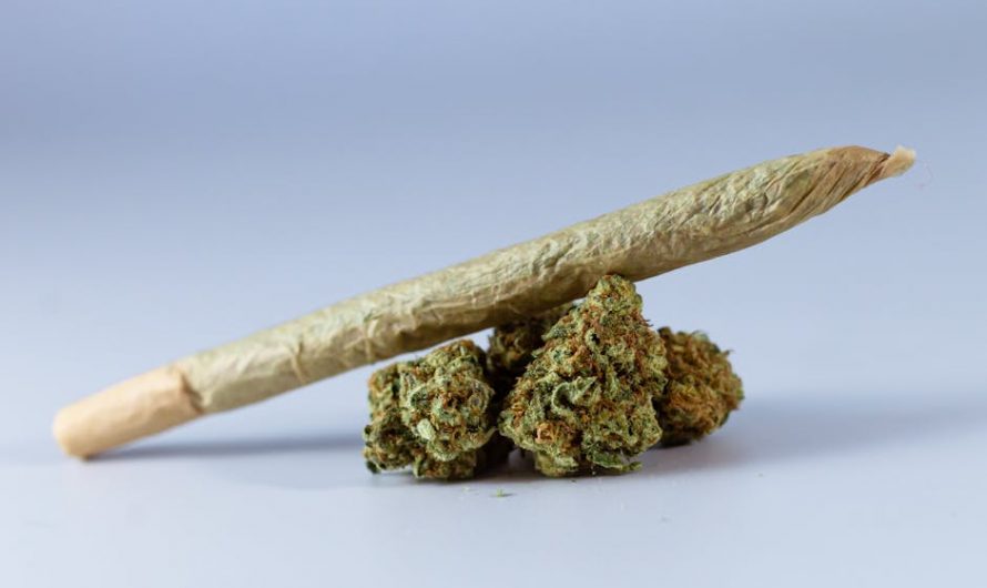 Marijuana store in Dortmund