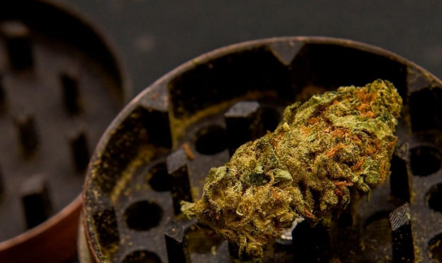 Marijuana delivery in Düsseldorf