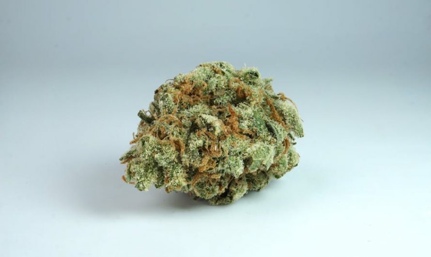 Buy marijuana in Duisburg