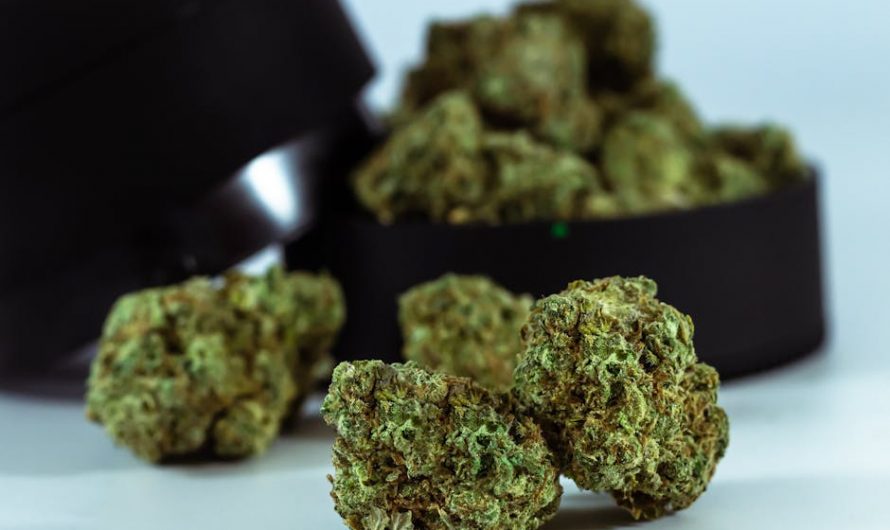 Buy weed in Genoa