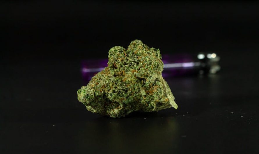 420 shop in Lodz