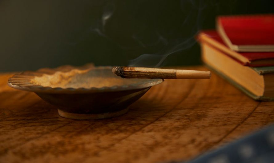 Buy THC cannabis in Amsterdam