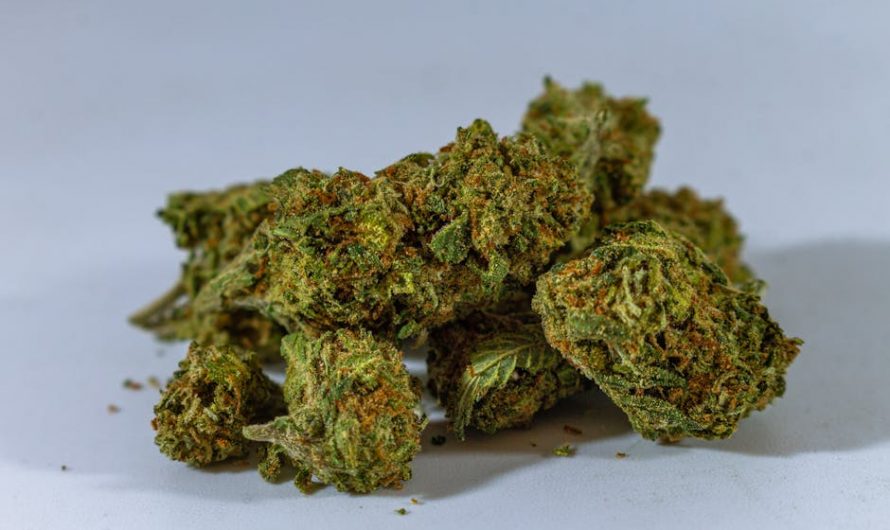 Buy marijuana in Debrecen