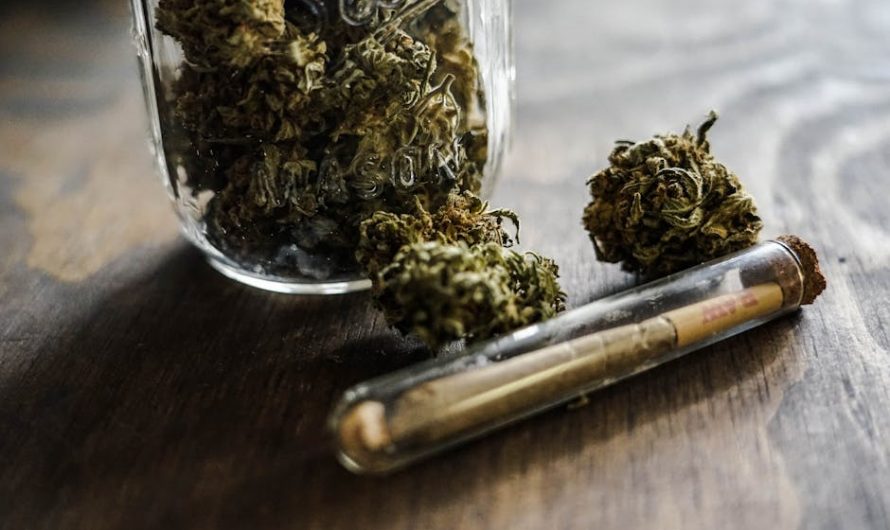 Cannabis shop in Mannheim