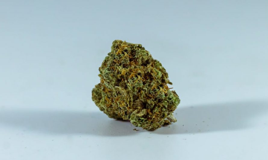 Buy the weed in Amsterdam