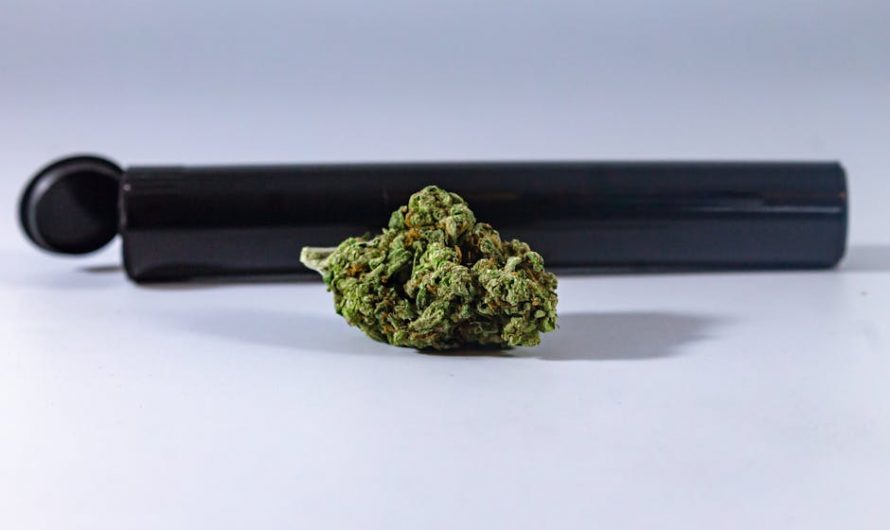 Weed shop in Bielefeld