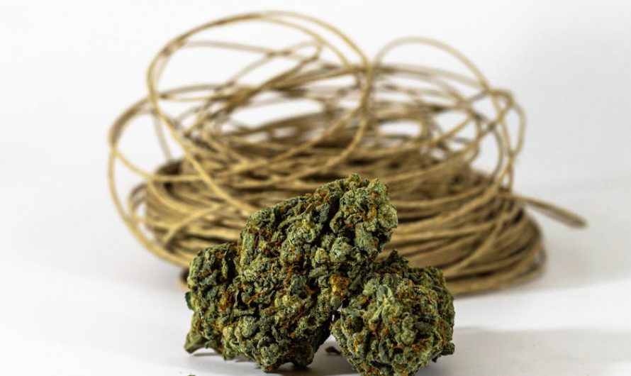 Weed delivery in Cannes
