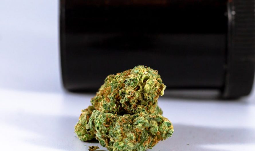 Buy weed in Venezia