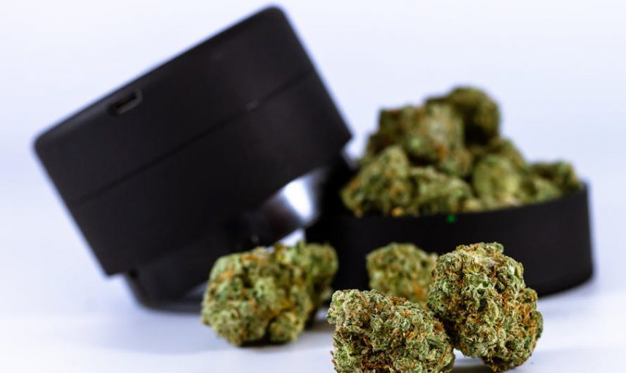 Buy THC marijuana in Luzern
