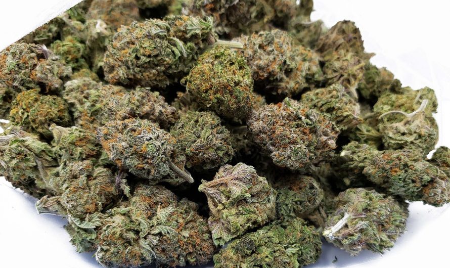 Buy hashish in Porto