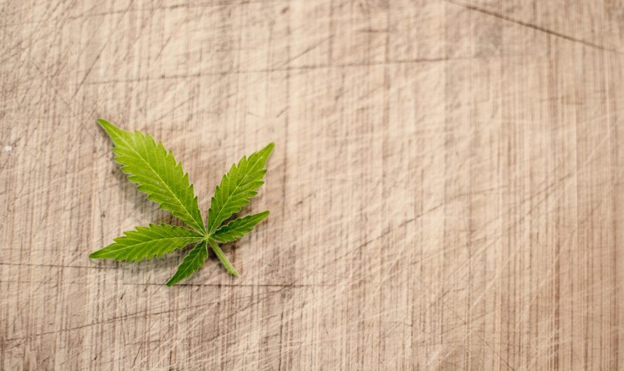 Cannabis delivery in Nantes