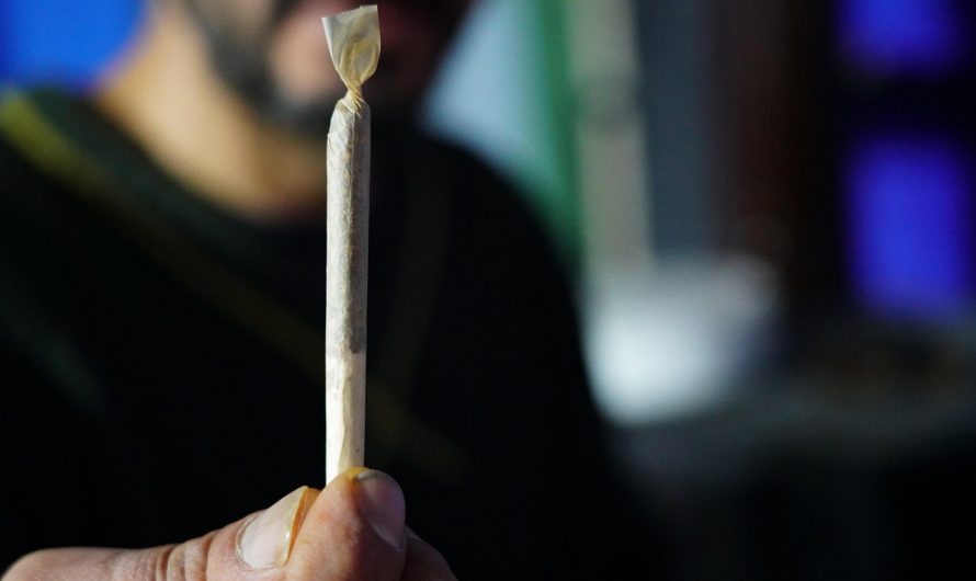 Weed store in Bielefeld