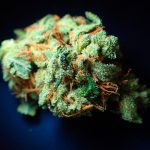 images99.jpg